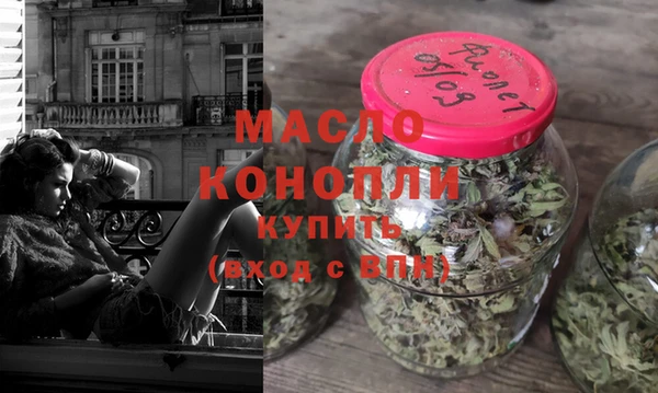 гидра Бердск