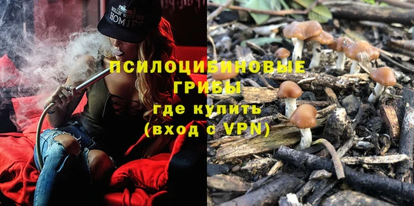гидропоника Михайловка
